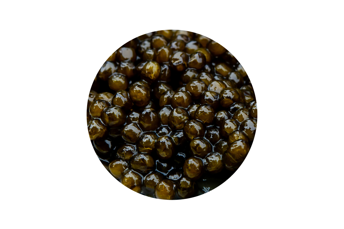 Black caviar Amur Royal 100 g Black caviar Amur Royal Catalog
