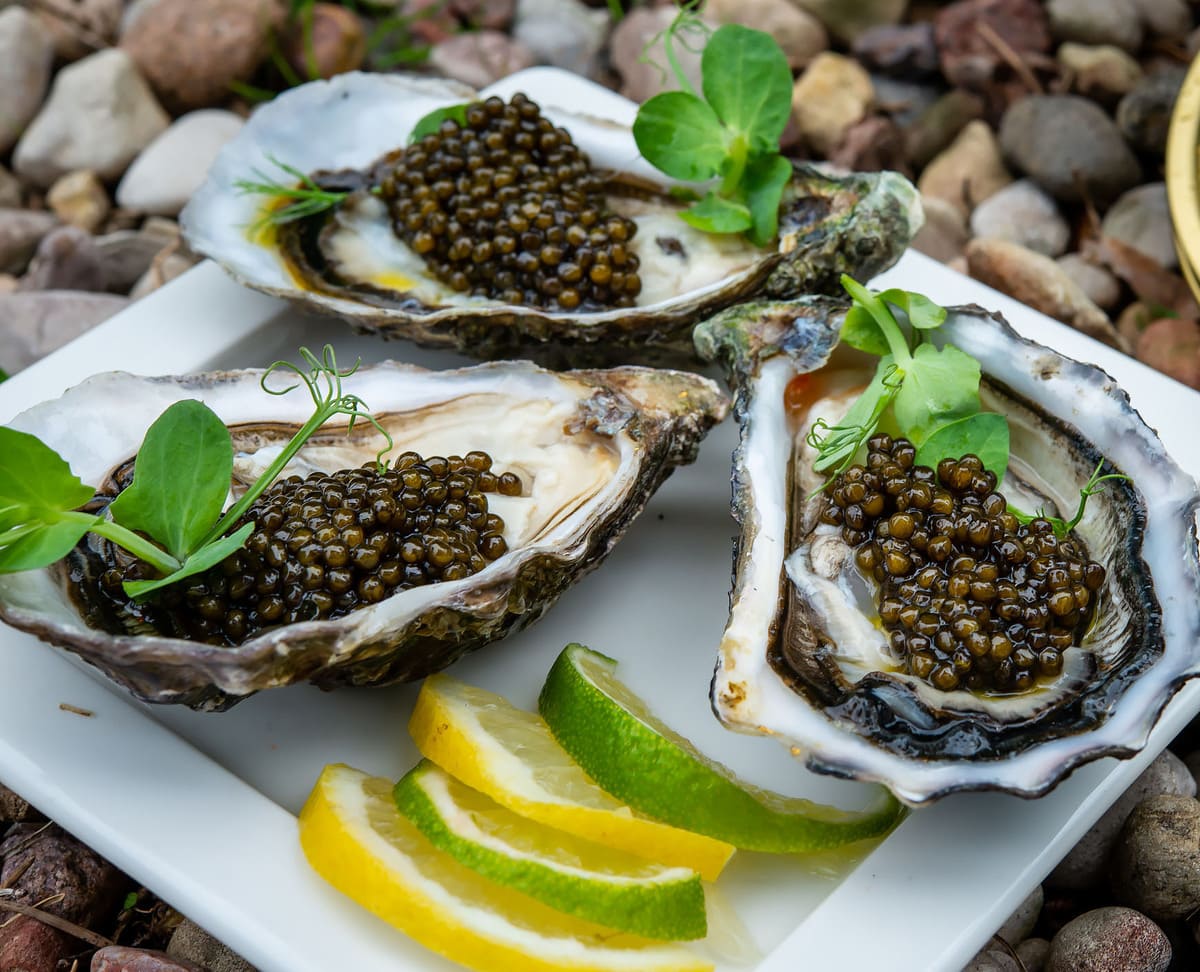 Fresh oysters with black sturgeon caviar Recipes CaviarHouse.lv SIA